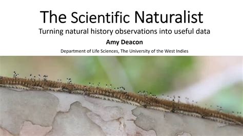 The Scientific Naturalist .